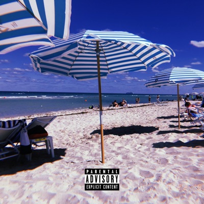 Playa (feat. Rye Truth) - Single