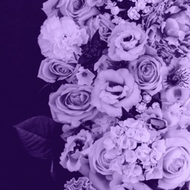 Last Summers Love Lilac