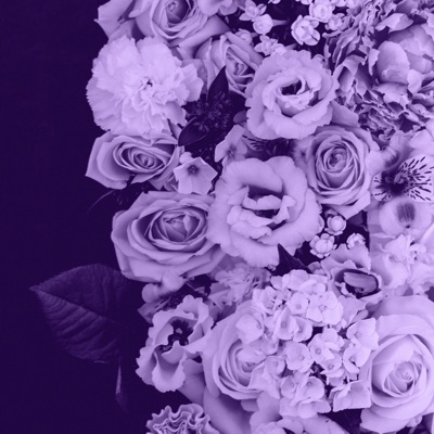 Last Summers Love - Single