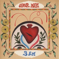 Junior Mesa Ablum Cover