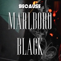 Marlboro Black - Single - Because