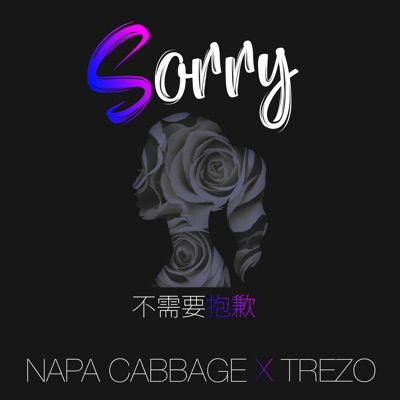 不需要抱歉 - Single