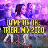 Lo Mejor Del Tribal Mix 2020 artwork