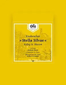STELLA SILVAE Kolleg St. Blasien을(를) 듣고, 뮤직 비디오를 보고, 약력을 읽고, 투어 일정 등을 확인하세요!