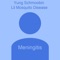 Meningitis (feat. Lil Mosquito Disease) - Yung Schmoobin lyrics
