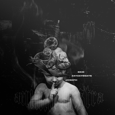 Anima Vestra (feat. Joseph & Zay Zay Beats) - Single