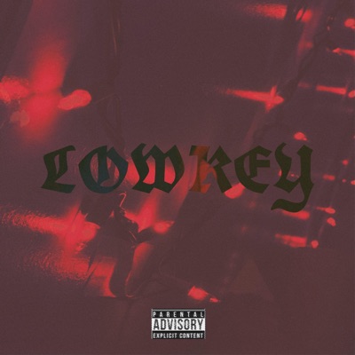 Lowkey - Single