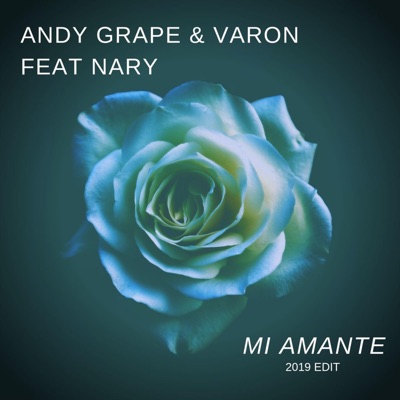Mi Amante (feat. Nary & Varon) [2019 Edit] - Single