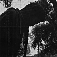 I Think I'm Insane - Single - DEEMXNN