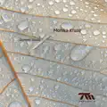 Summer Drops (Uner Remix)
