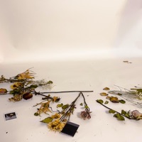 SOS! (Acoustic) - Single - Rozei