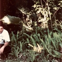 One Winged Angel - Single - Cfedo