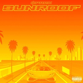 Sun Roof $park