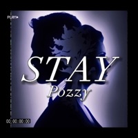 Stay - Single - Pozzy