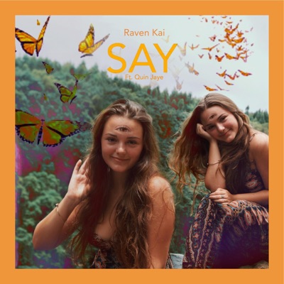 Say (feat. Quin Jaye) - Single