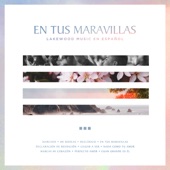 En Tus Maravillas artwork