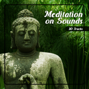 Meditation on Sounds - 30 Tracks, Take a Moment, Pause and Just Listen: Mindfulness Practice - Namaste Healing Yoga & Serenity Music Relaxation