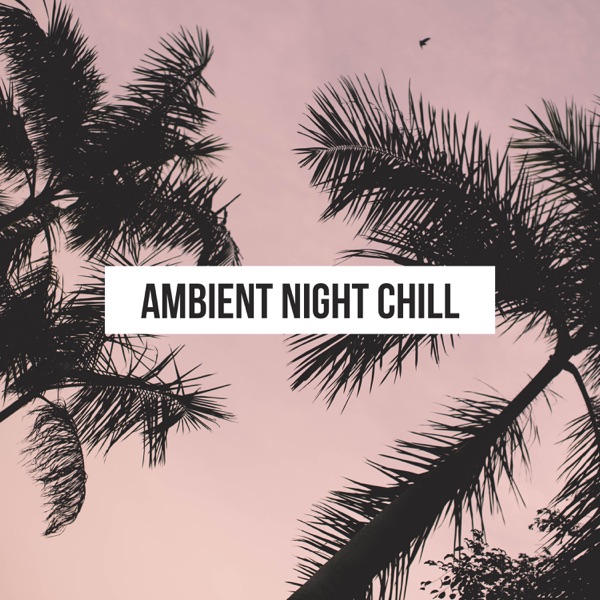 Ambient Night Chill: Deep Electronic Lounge Session, Relaxing Obsession