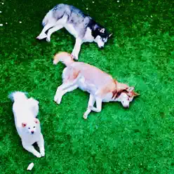 Husky - Single - RiFF RAFF Husky - Single - RiFF RAFF
