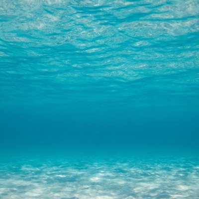 Water - Single