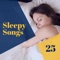 Sleep Doctor - Sven Hallow lyrics