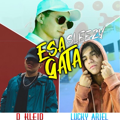 Esa Gata (feat. D'Kleid & Lucky Ariel) - Single