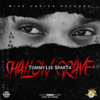 Shallow Grave - Single - Tommy Lee Sparta