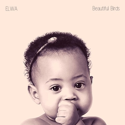 Beautiful Birds (feat. Teabag) - Single