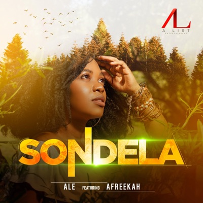 Sondela (feat. Afreekah) - Single