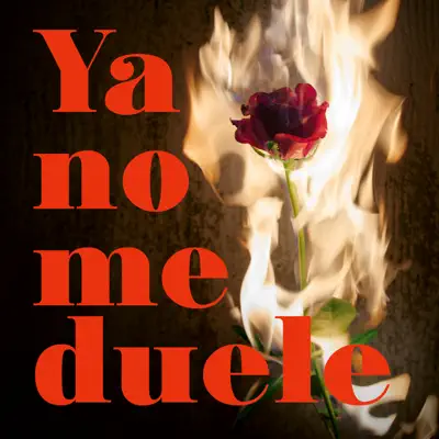 Ya No Me Duele - Single - Gemeliers