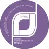 Miyagi - Woodpeckers Love Affair (Sascha Braemer & Dan Caster Remix)