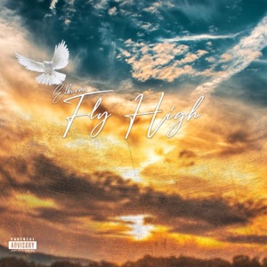 Fly High