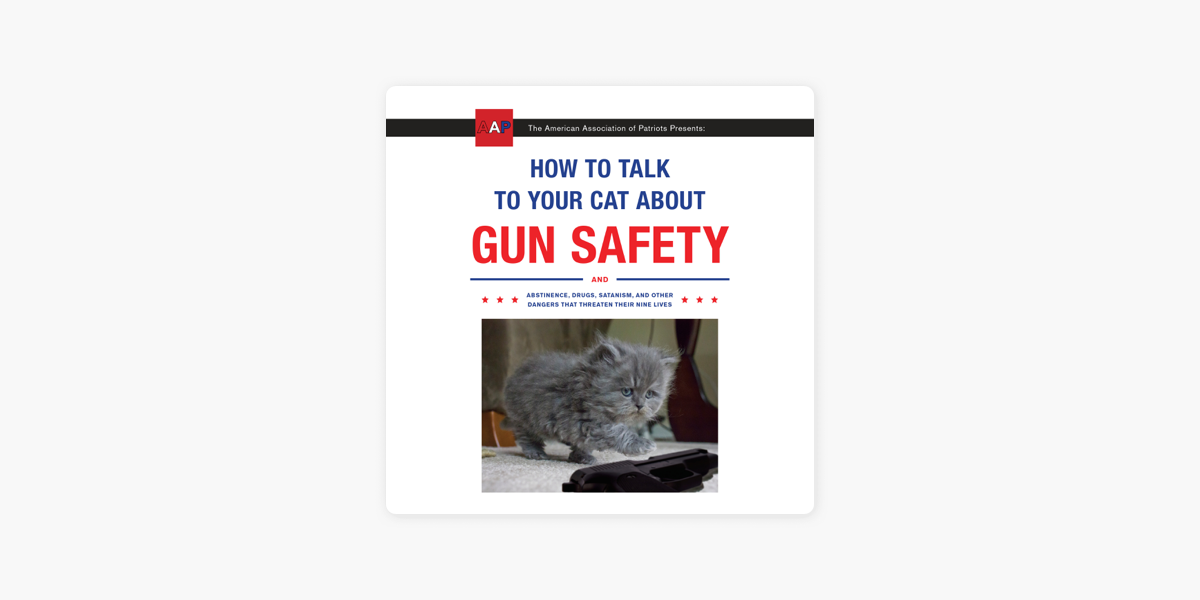 How To Talk To Your Cat About Gun Safety