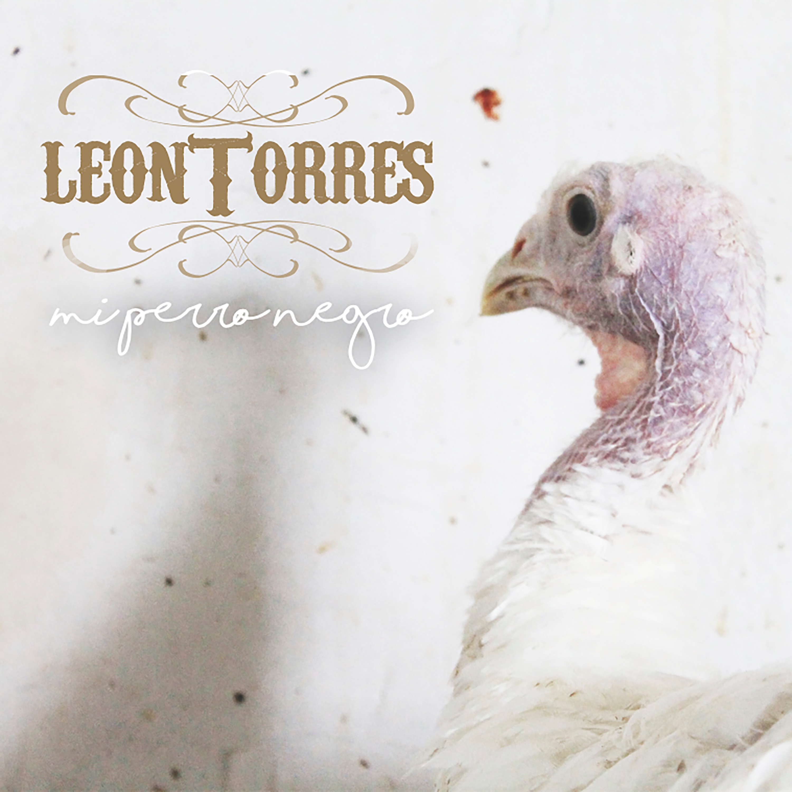 Por La Suave Carin León