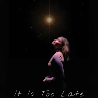 It Is Too Late - Single