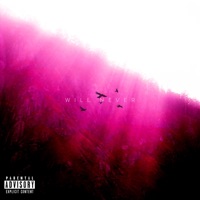 Will Never - Single - Krow & Raven