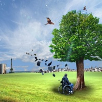 Belles paroles (feat. Zesau) - Single - Massyl