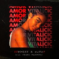 Amor Vitalício - Single - 2ZDinizz & Sueco