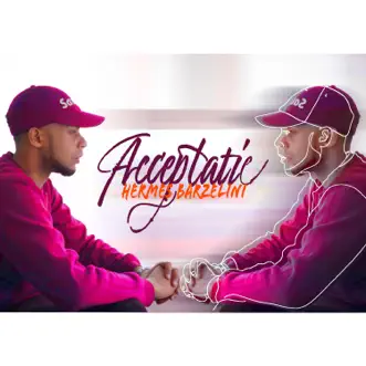 Acceptatie - Single by Hermes Barzelini album reviews, ratings, credits