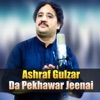 Da Pekhawar Jeenai - Single