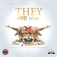 They Mad Now (feat. Level) - Single - Ray Staxx