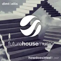 How Does it Feel (feat. AWR) — DLMT & ellis