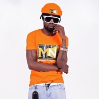 Never Too Late (feat. Mugambi, Flora Voice, Brax Voice & Jay O) - Single - Mike November