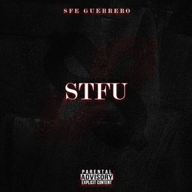 S.T.F.U. SFE Guerrero