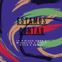 Estamos Contao (feat. Miguelito & Chulo Style & Breezy) - Single - La H Black Gang