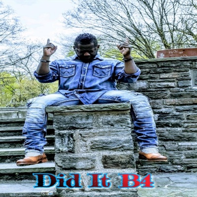 Did It B4 - Single
