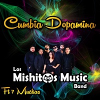 Cumbia dopamina (feat. Los Mishitos Music Band, 7Muekas & Frisky El de la Magic) - Single - Borja Bj10