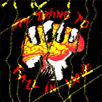 IM Trying To Fall In Love - Single