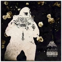 Don'tcomenearme (feat. Bearded Legend) - Single - Chronic Shnxman