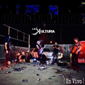 Radicamos en South Central (En vivo) artwork